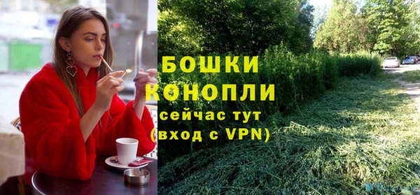твердый Горняк
