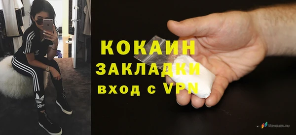твердый Горняк