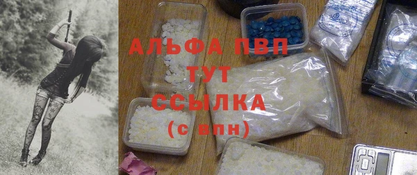 твердый Горняк