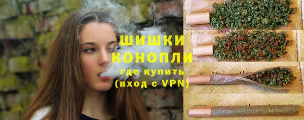 твердый Горняк