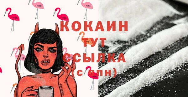 твердый Горняк