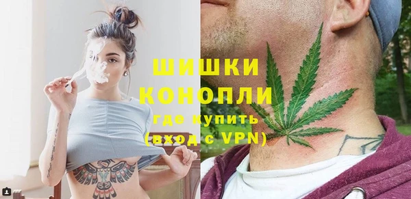 твердый Горняк