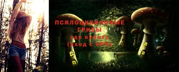 твердый Горняк