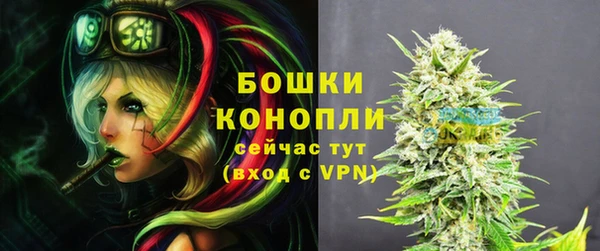 твердый Горняк