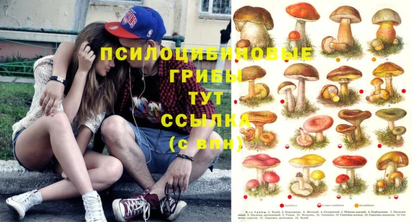 наркотики Горнозаводск
