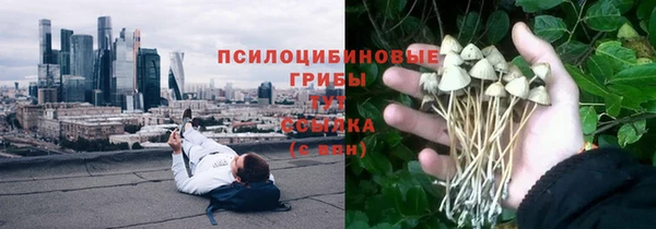 амф Горно-Алтайск
