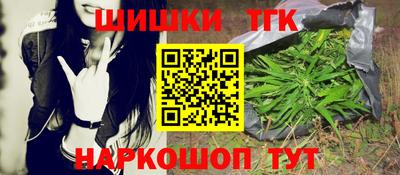 Альфа ПВП Моздок