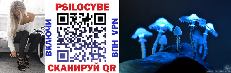 mega вход  Старый Оскол  Галлюциногенные грибы Psilocybe 